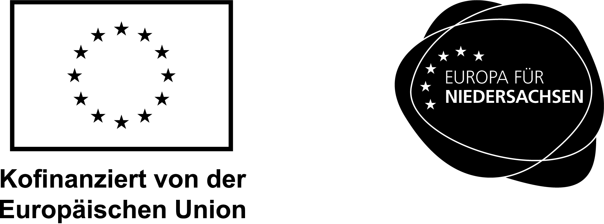 Kombi_v_Kofinanziert_EU_EFN_Schwarz_Outlines_CMYK